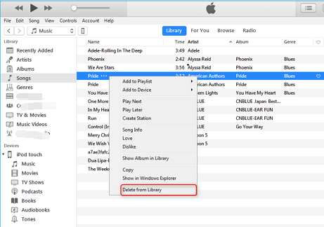 Delete iTunes Library from Mac