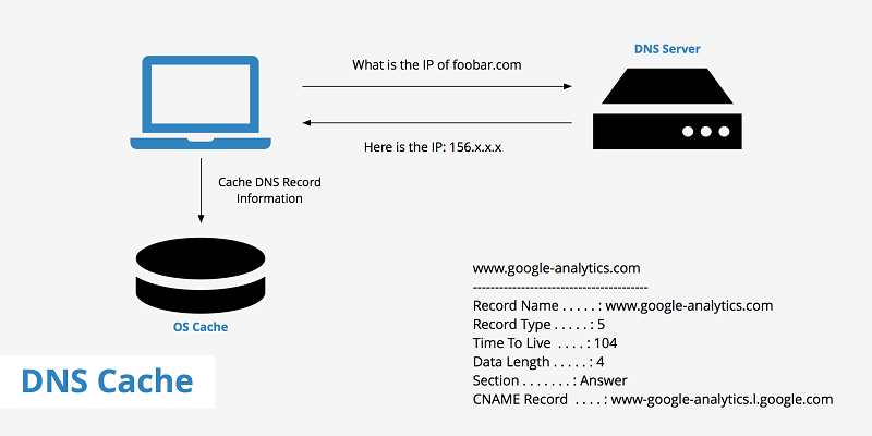What Are DNS Caches?