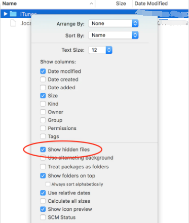 Show Hidden Files on Mac with File Manager