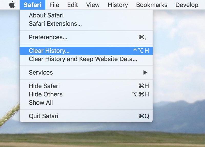 Clear out Safari Data